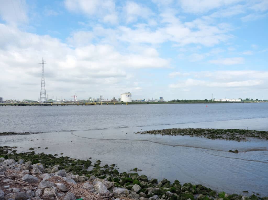 Rechtszaak tegen miljardeninvestering van INEOS in kunststoffabriek Antwerpen