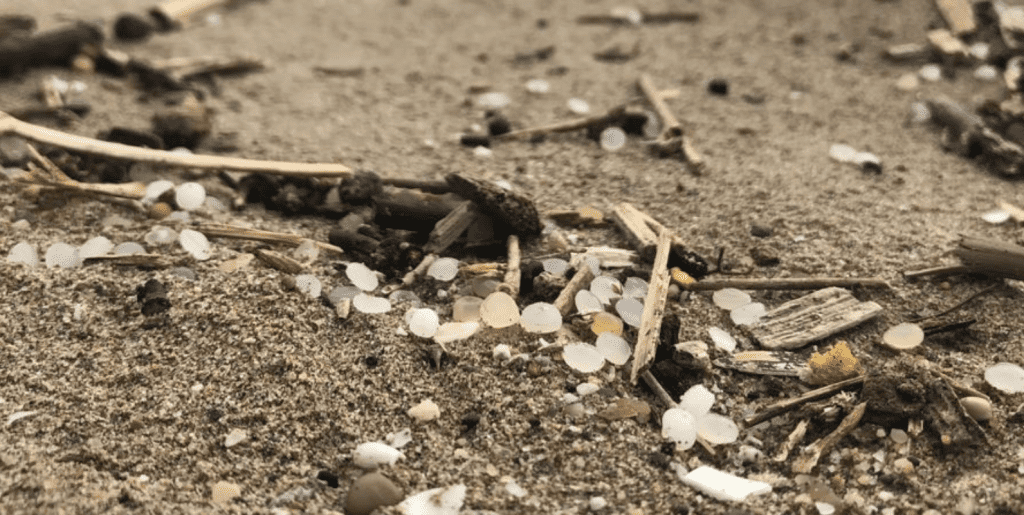 Plastics Europe en EuPC lanceren Operation Clean Sweep-certificering
