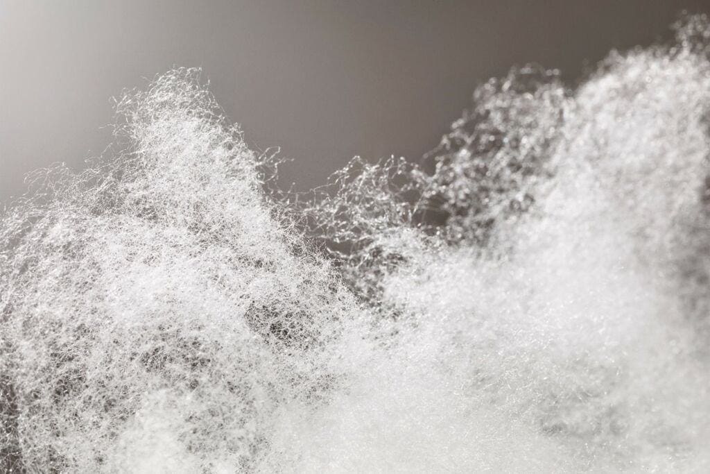 Beaulieu Fibres demonstreert steun voor duurzaamheid en prestatieverbeteringen in non-wovens